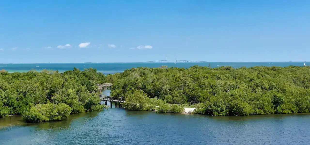Bradenton robinson preserve